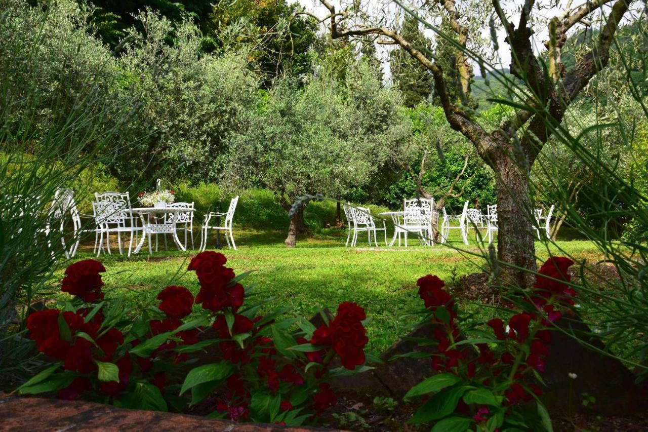 la sosta in Toscana Camaiore Exterior foto
